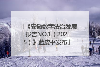《安徽数字法治发展报告NO.1（2025）》蓝皮书发布
