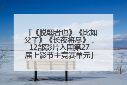 《脱缰者也》《比如父子》《长夜将尽》，12部影片入围第27届上影节主竞赛单元