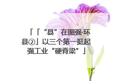 「“县”在图强·环县②」以三个第一挺起强工业“硬脊梁”