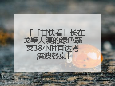 「甘快看」长在戈壁大漠的绿色蔬菜38小时直达粤港澳餐桌