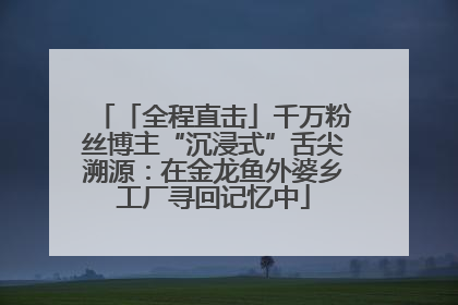 「全程直击」千万粉丝博主“沉浸式”舌尖溯源：在金龙鱼外婆乡工厂寻回记忆中