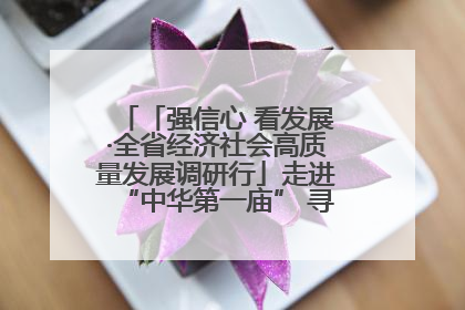 「强信心 看发展·全省经济社会高质量发展调研行」走进“中华第一庙” 寻根伏羲 祭祖龙城