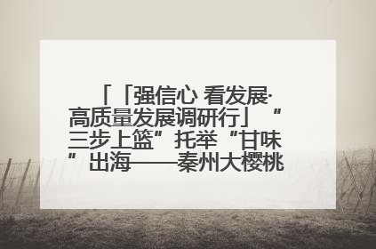 「强信心 看发展·高质量发展调研行」“三步上篮”托举“甘味”出海——秦州大樱桃高质量发展动作分解