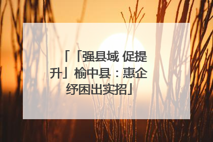 「强县域 促提升」榆中县：惠企纾困出实招