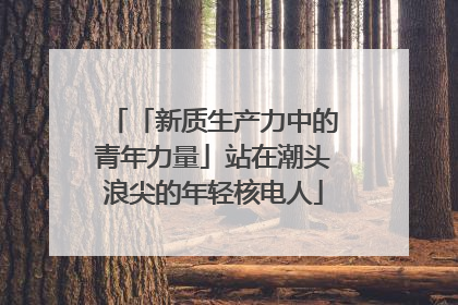 「新质生产力中的青年力量」站在潮头浪尖的年轻核电人