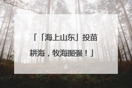 「海上山东」投苗耕海，牧海图强！