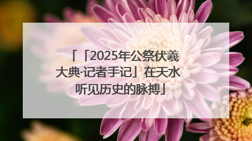 「2025年公祭伏羲大典·记者手记」在天水 听见历史的脉搏