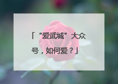 “爱武城”大众号，如何爱？