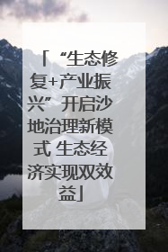 “生态修复+产业振兴”开启沙地治理新模式 生态经济实现双效益