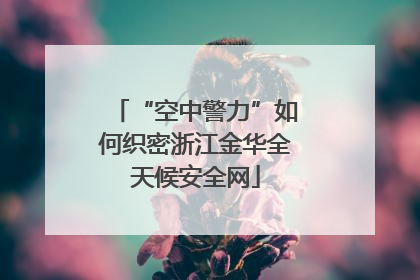 “空中警力”如何织密浙江金华全天候安全网