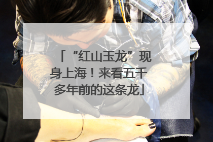“红山玉龙”现身上海！来看五千多年前的这条龙