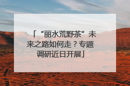 “丽水荒野茶”未来之路如何走?专题调研近日开展