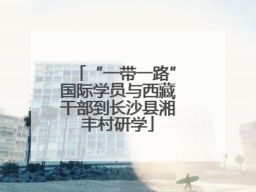 “一带一路”国际学员与西藏干部到长沙县湘丰村研学
