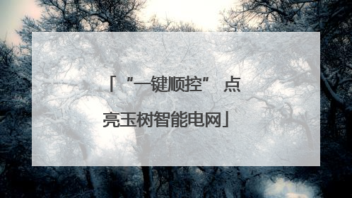 “一键顺控” 点亮玉树智能电网