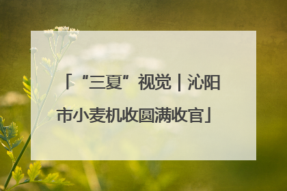 “三夏”视觉｜沁阳市小麦机收圆满收官