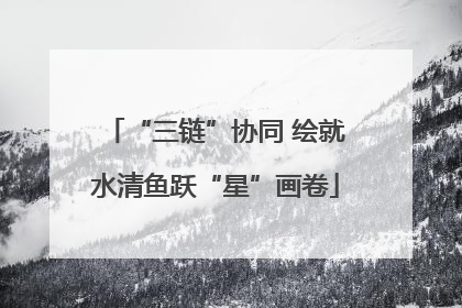 “三链”协同 绘就水清鱼跃“星”画卷