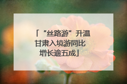 “丝路游”升温 甘肃入境游同比增长逾五成