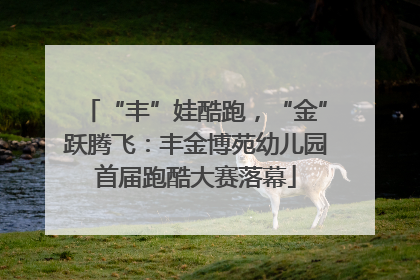 “丰”娃酷跑，“金”跃腾飞：丰金博苑幼儿园首届跑酷大赛落幕