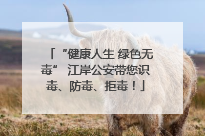 “健康人生 绿色无毒” 江岸公安带您识毒、防毒、拒毒！