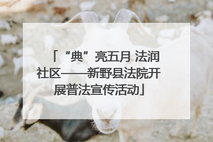 “典”亮五月 法润社区——新野县法院开展普法宣传活动