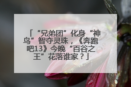 “兄弟团”化身“神鸟”智夺灵珠，《奔跑吧13》今晚“百谷之王”花落谁家？