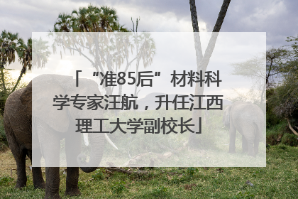 “准85后”材料科学专家汪航，升任江西理工大学副校长