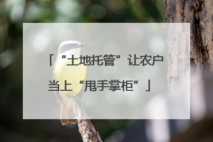 “土地托管”让农户当上“甩手掌柜”