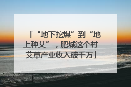 “地下挖煤”到“地上种艾”，肥城这个村艾草产业收入破千万