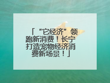 “它经济”领跑新消费！长宁打造宠物经济消费新场景！