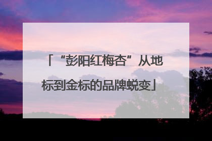 “彭阳红梅杏”从地标到金标的品牌蜕变