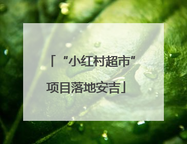 “小红村超市”项目落地安吉