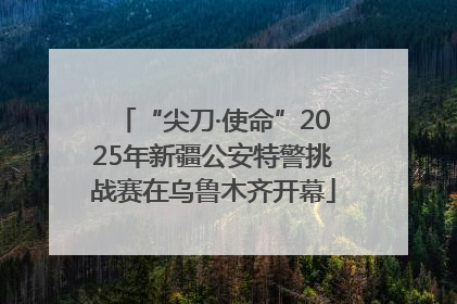“尖刀·使命”2025年新疆公安特警挑战赛在乌鲁木齐开幕