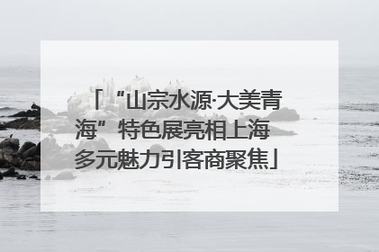 “山宗水源·大美青海”特色展亮相上海 多元魅力引客商聚焦
