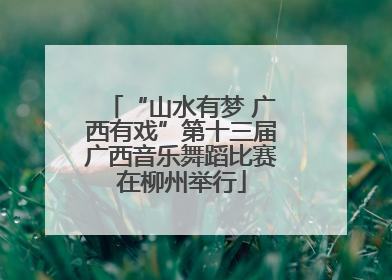 “山水有梦 广西有戏”第十三届广西音乐舞蹈比赛在柳州举行