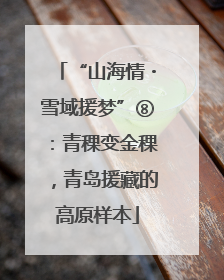 “山海情・雪域援梦”⑧：青稞变金稞，青岛援藏的高原样本
