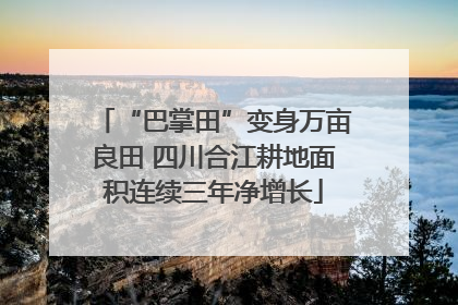 “巴掌田”变身万亩良田 四川合江耕地面积连续三年净增长