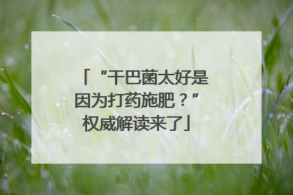 “干巴菌太好是因为打药施肥？”权威解读来了