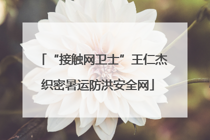“接触网卫士”王仁杰织密暑运防洪安全网
