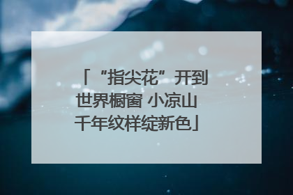 “指尖花”开到世界橱窗 小凉山千年纹样绽新色
