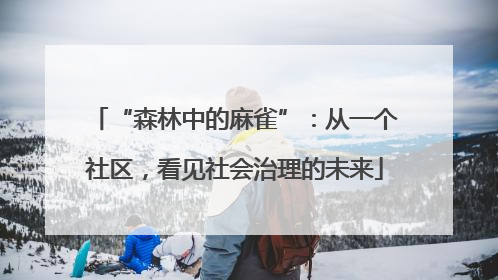 “森林中的麻雀”：从一个社区，看见社会治理的未来