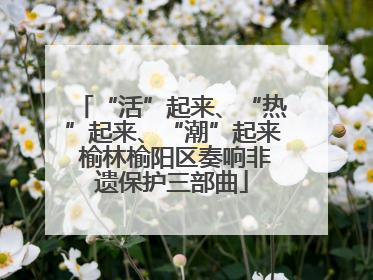 “活”起来、“热”起来、“潮”起来 榆林榆阳区奏响非遗保护三部曲