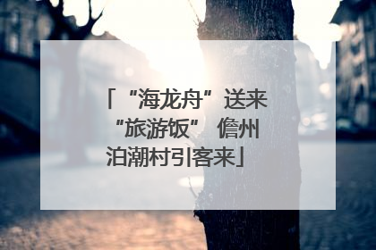 “海龙舟”送来“旅游饭” 儋州泊潮村引客来