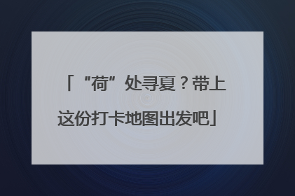“荷”处寻夏？带上这份打卡地图出发吧