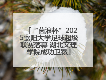 “茵浪杯”2025襄阳大学足球超级联赛落幕 湖北文理学院成功卫冕