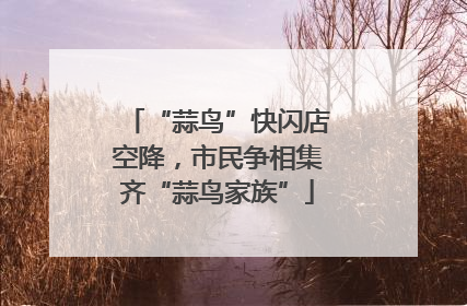 “蒜鸟”快闪店空降，市民争相集齐“蒜鸟家族”