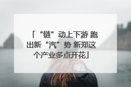 “链”动上下游 跑出新“汽”势 新郑这个产业多点开花