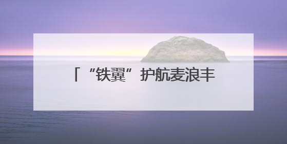 “铁翼”护航麦浪丰 平凉“一喷三防”织就夏粮丰收防护网