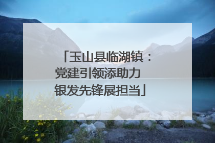 玉山县临湖镇：党建引领添助力 银发先锋展担当