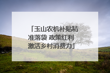 玉山农机补贴精准落袋 政策红利激活乡村消费力