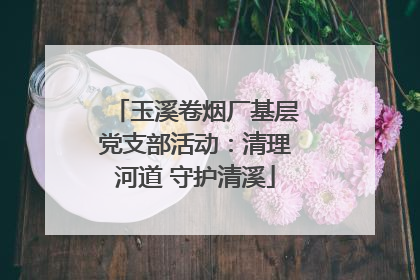 玉溪卷烟厂基层党支部活动：清理河道 守护清溪